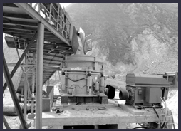 ����ɰ�ڻ������е�Ӧ��