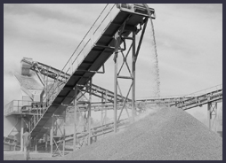 ����ɰ�ڻ������е�Ӧ��